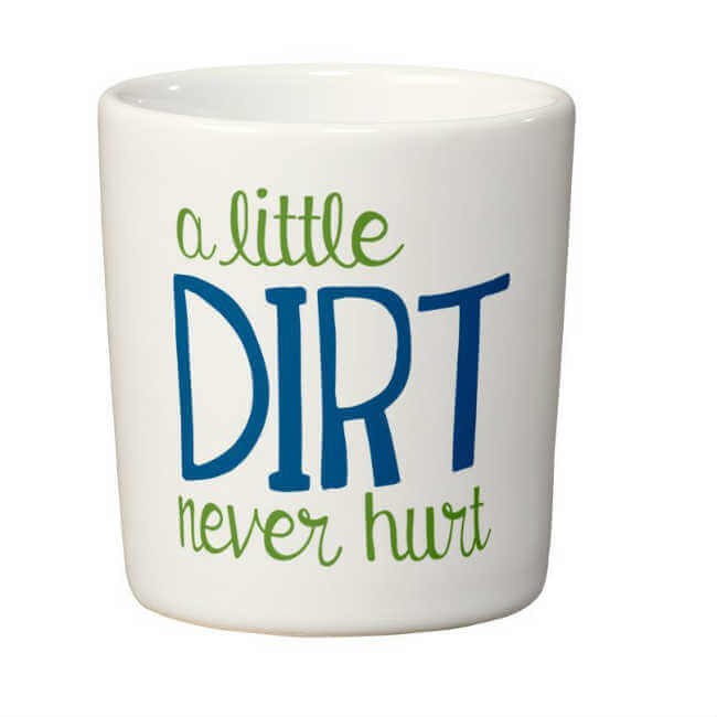 Studio M Little Dirt Never Hurt Mini Planter