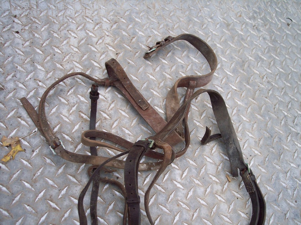 TOOLING LEATHER STRAPS BRIDLE HARNESS 3 LB FREE S/H