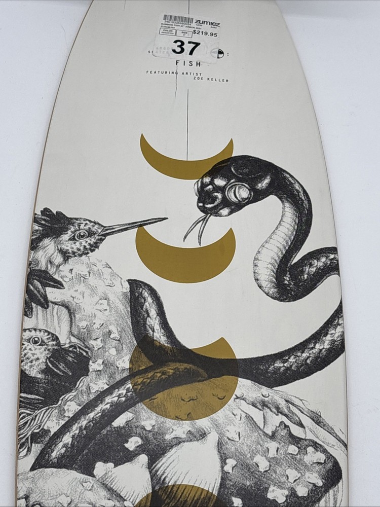 Arbor Fish Bamboo 37 inch Complete Longboard