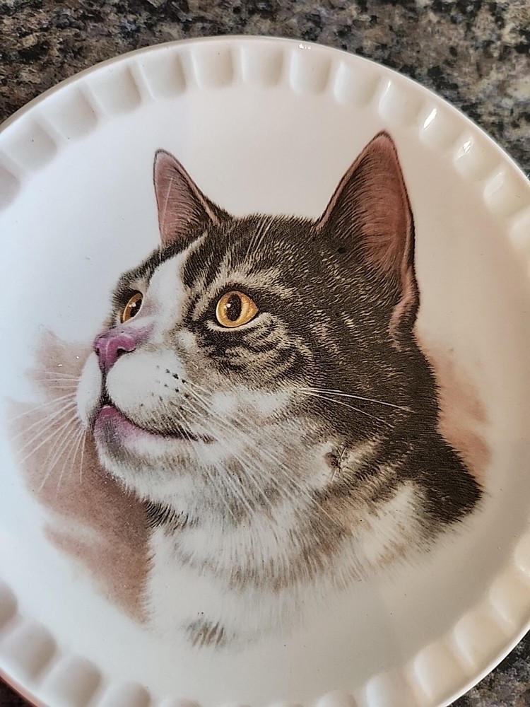 Hoffritz Porcelain Cat Plate 5" Made in England