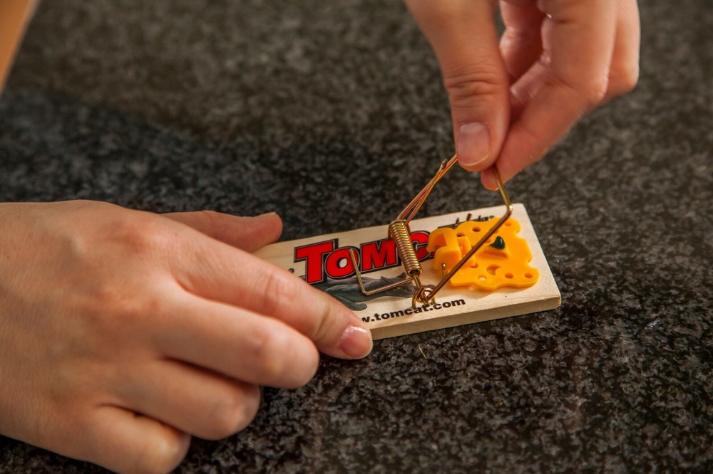 Tomcat Mouse Traps (Wooden), 2 Traps