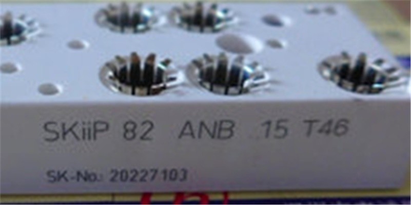 SKIIP82ANB15T46 Semikron Module New 1Pc lr