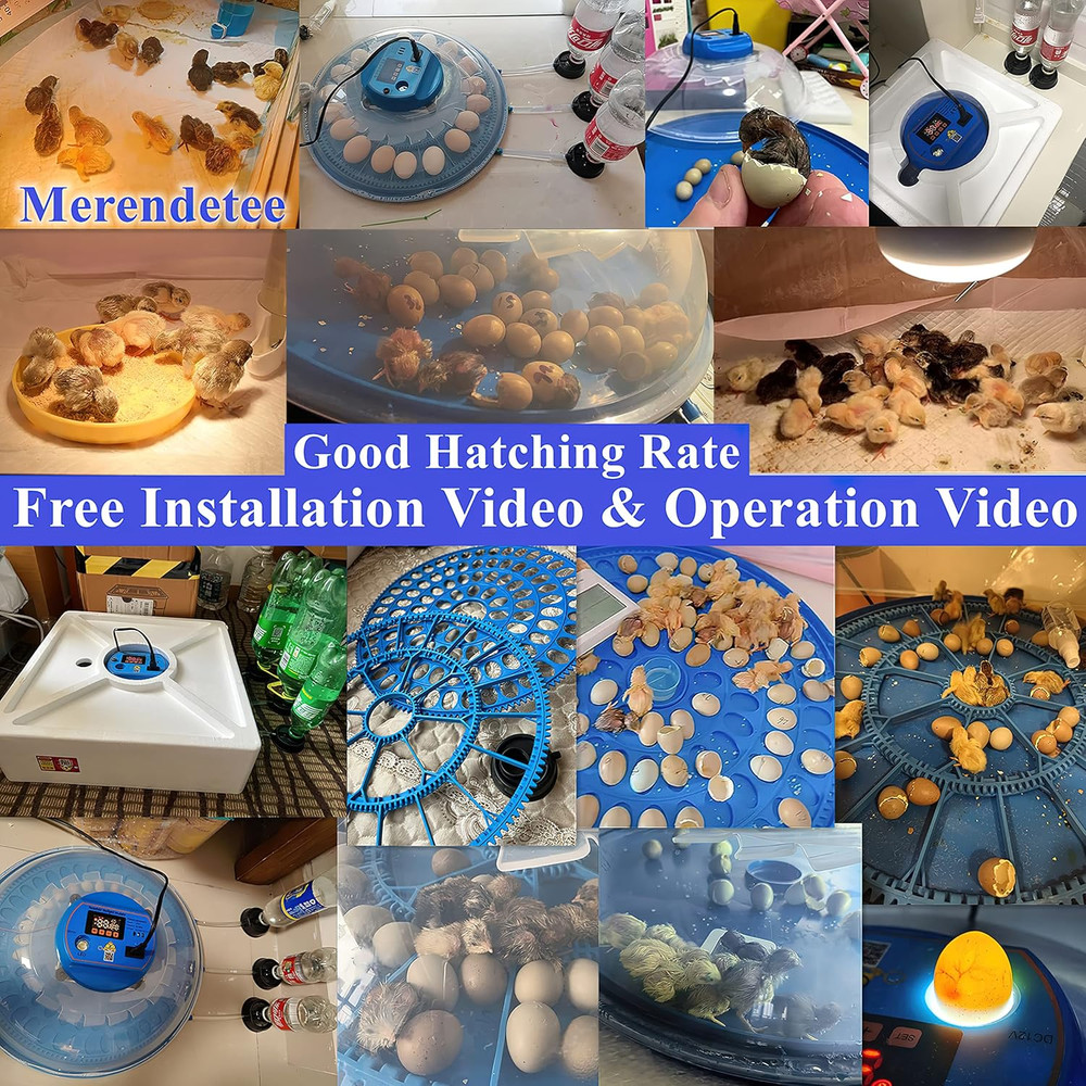 26-52 Eggs Automatic Incubator | Upgrade Automatic Water Adding |360 Degree View