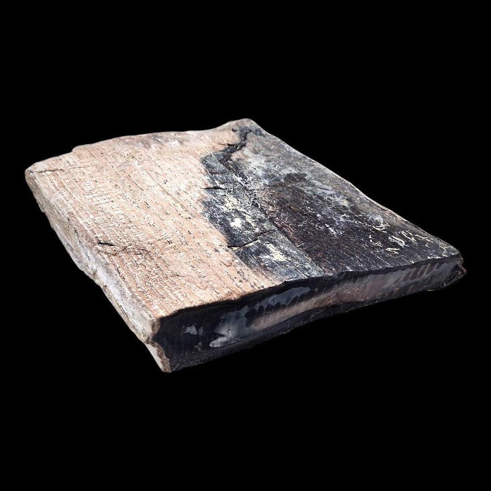 Petrified Wood (Opalized & Agatized) Specimen (5/5)