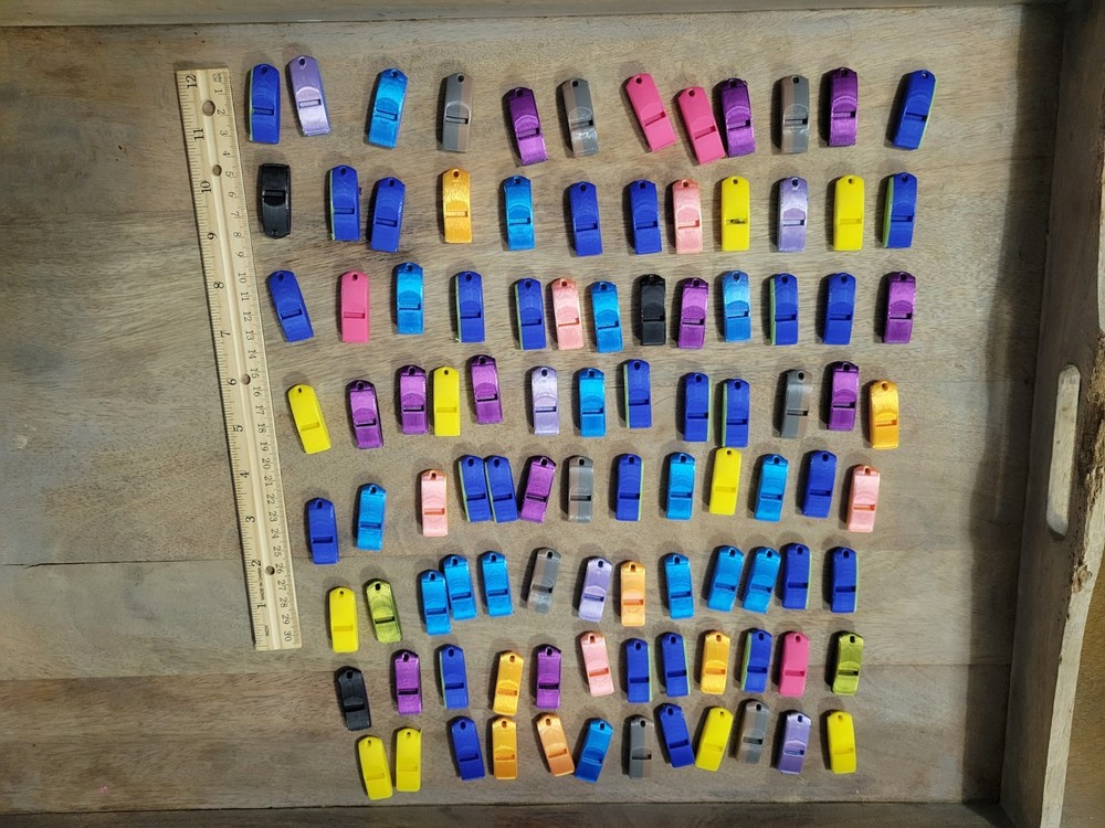 Bulk Whistles 100 Pack