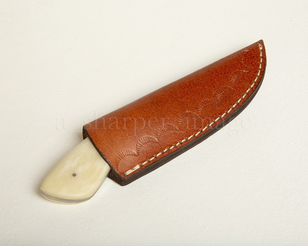 7” Stainless Steel Skinner SHARP Camel Bone Handle + Leather Sheath Rugged