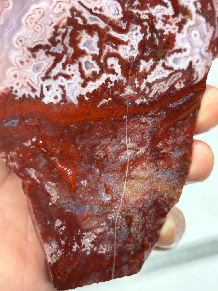 Mexican Red Moss Agate Slabs Lapidary Cabbing Combo Ship Avail