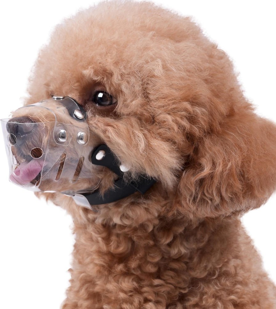 Dog Muzzle, Basket Muzzle for Small Medium Dogs Poodle Dachshund Corgi, Clear...