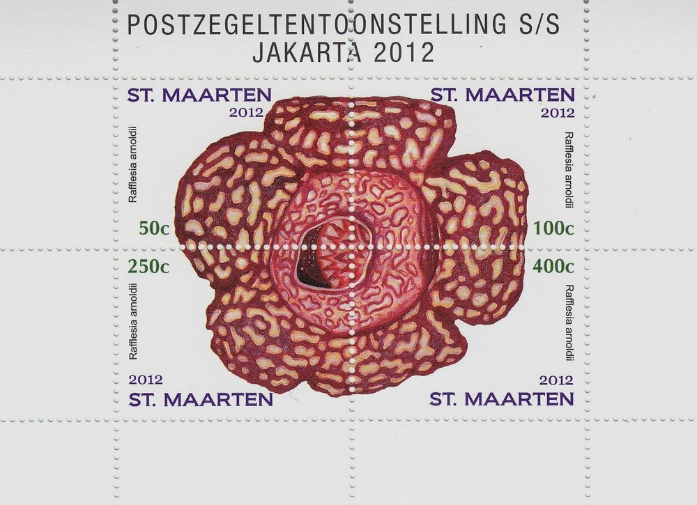 Sint Maarten Issue 2012 (85) Flower