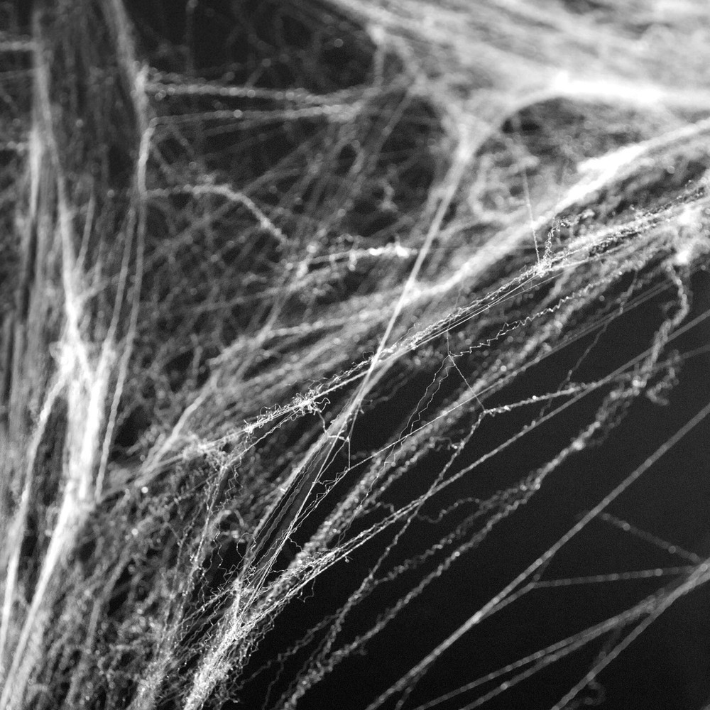 HALLOWEEN WHITE SPIDERS WEB | Halloween Decorations | Halloween Decor