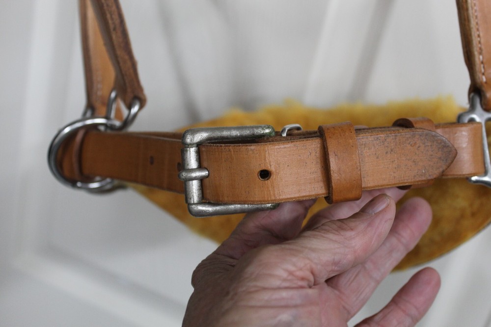 Western Haulter with Bronk nose band