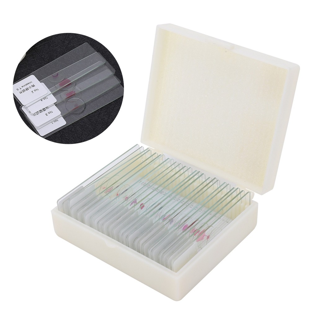 25Pcs Animal Slides Microscope Sample Slides For Science Education Popular