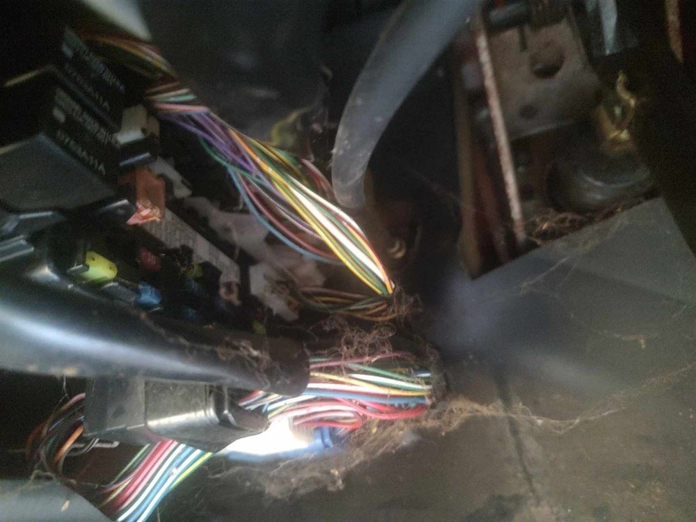 TRACKER 2003 Fuse Box Cabin 6701