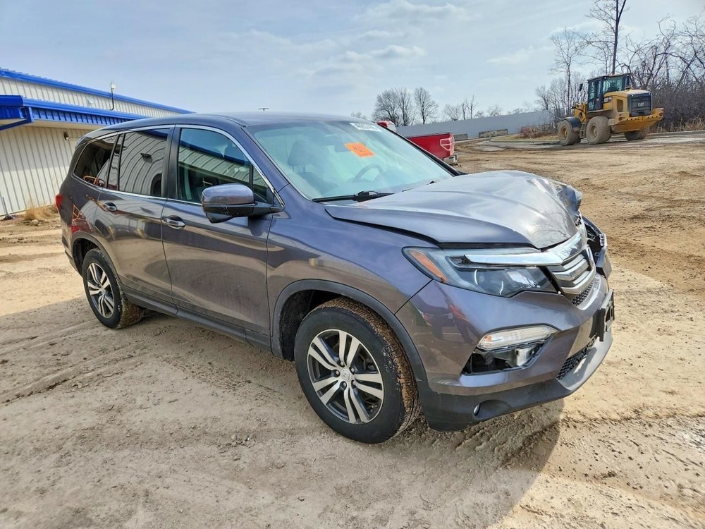 PILOT 2017 Jack 1552265