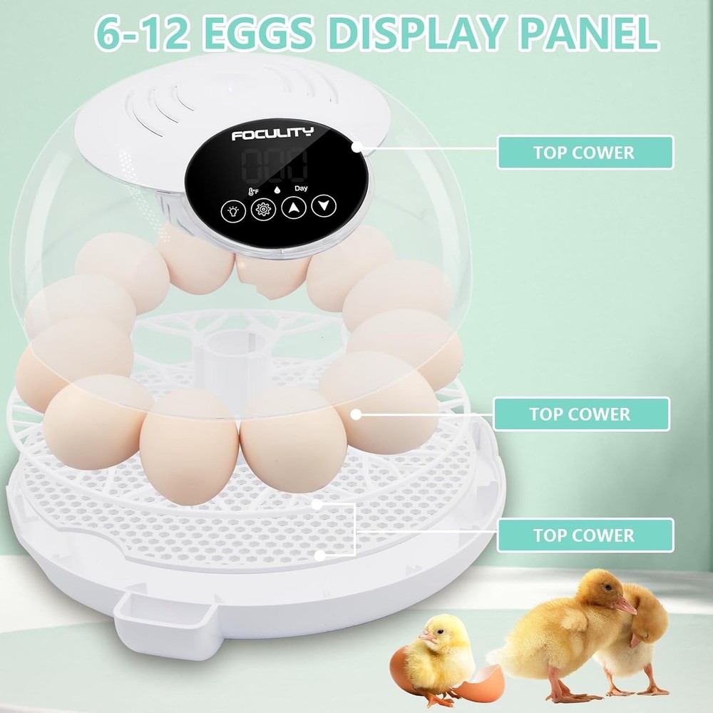 Egg Incubator for Hatching Chicks, Holds 12 Eggs, Automatic Egg Turner with Temp
