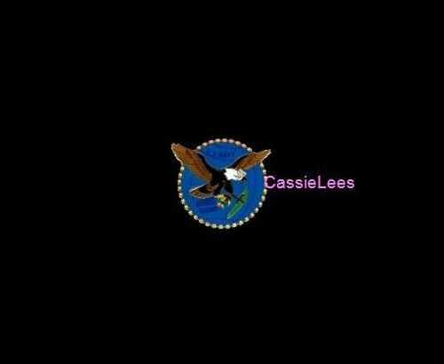 US Navy Armed Guard  + a custom promo pin