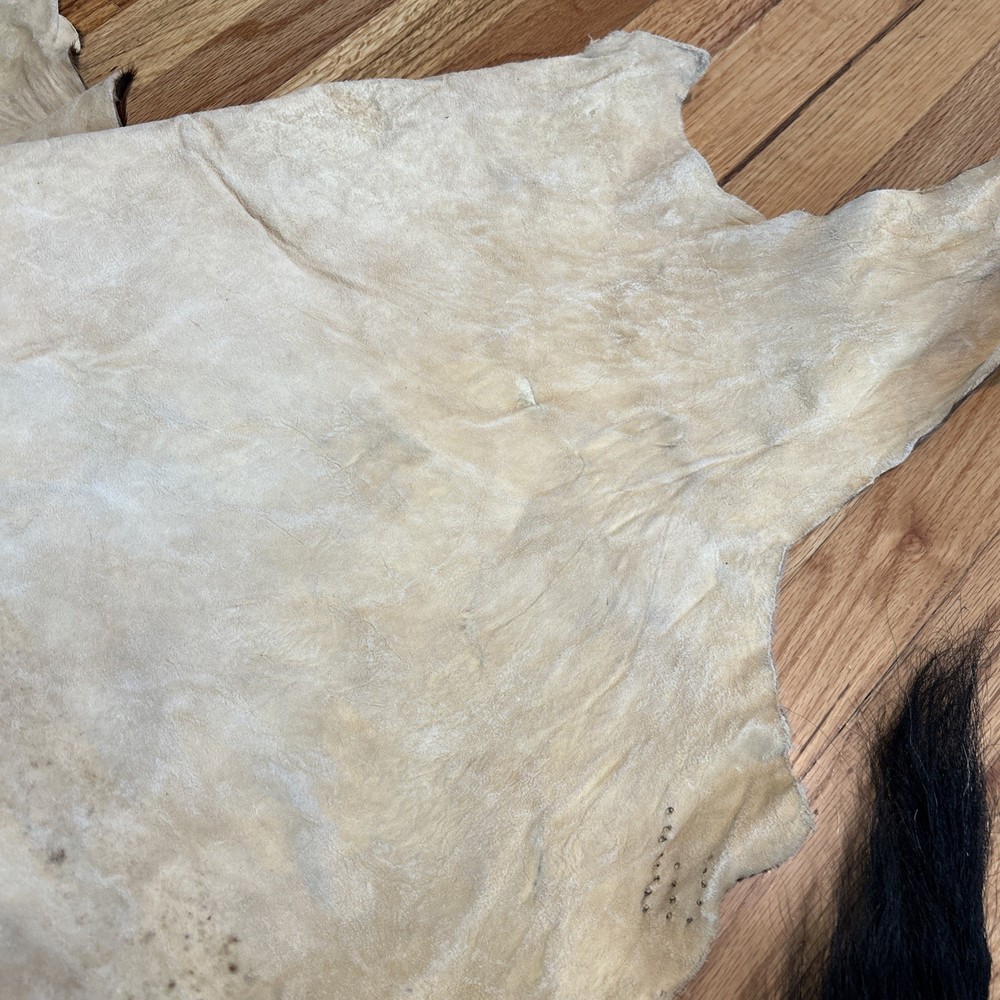 African Antelope Partial Hide (Back Half) – (Left Front) Tanned