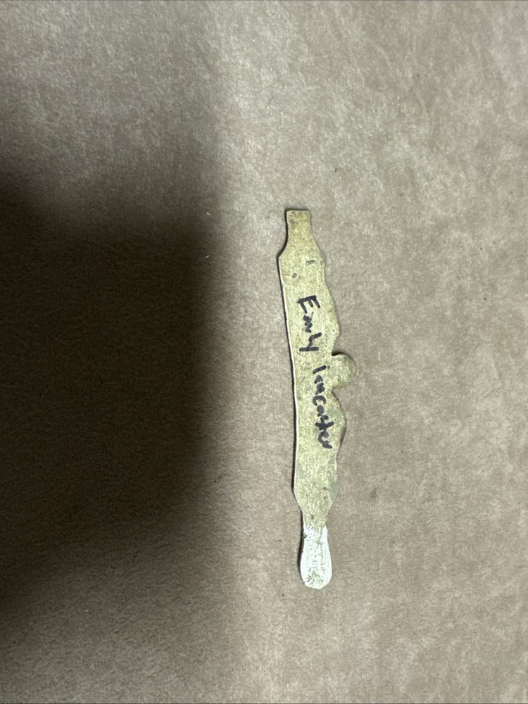 Early Lancaster German Silver Flintlock Side Plate