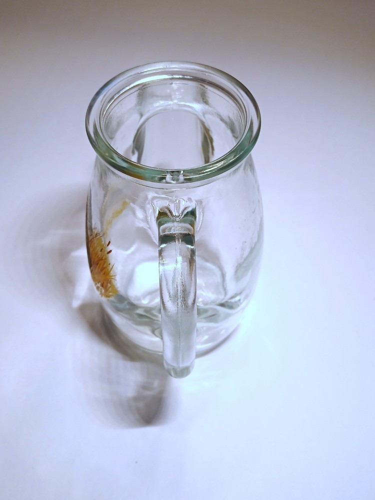 WESTMORELAND SNUB GLASS PITCHER