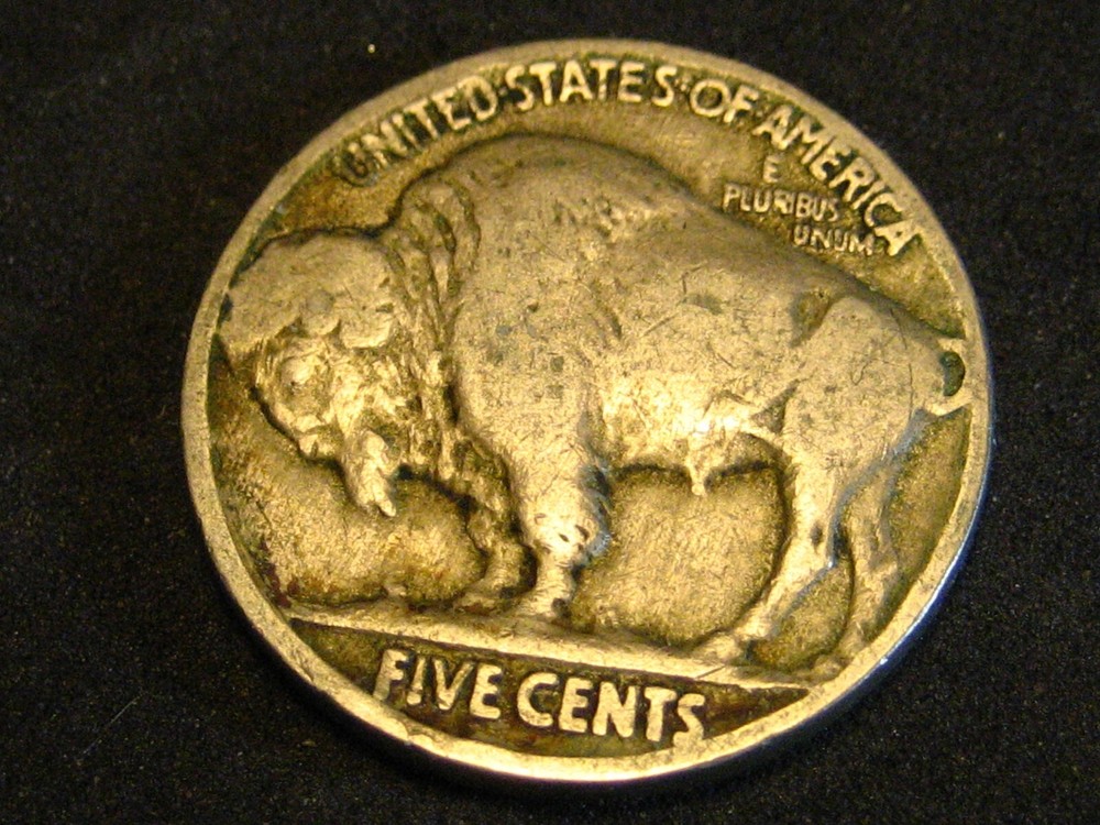 1919-P Buffalo Nickel