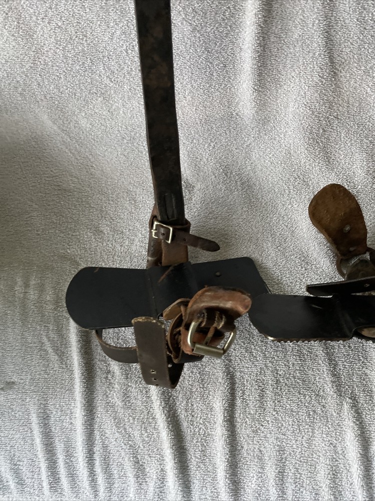 Buckingham Tree Pole Climbing Spike Gaffs (5a)