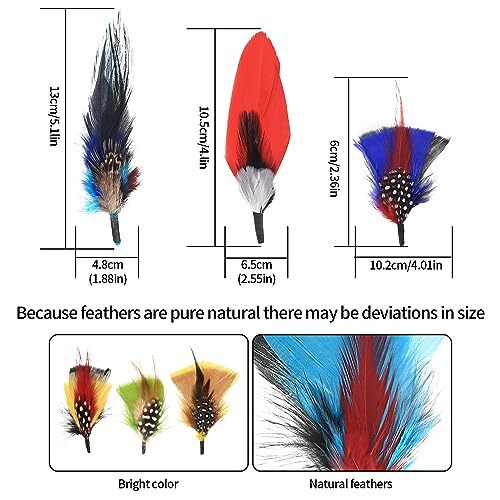 Hat Feathers, 12 Pcs Natural Feathers, Mixed Assorted Cowboy Hats Feathers,