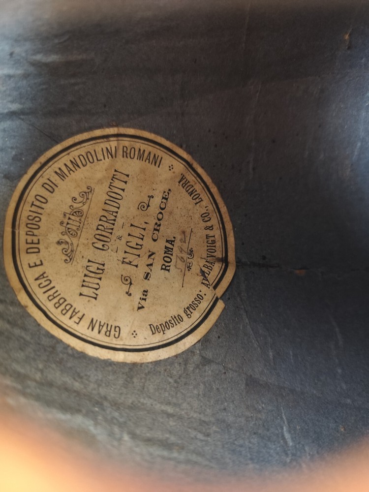 Luigi Corradotti 1900 Rome 4/4 Mandolin 曼陀林 만돌린マンドリン
