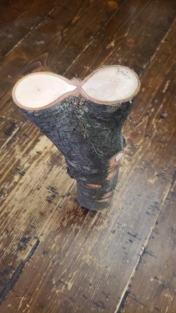 MAPLE  Turning Crotch Log 10" Long M4319