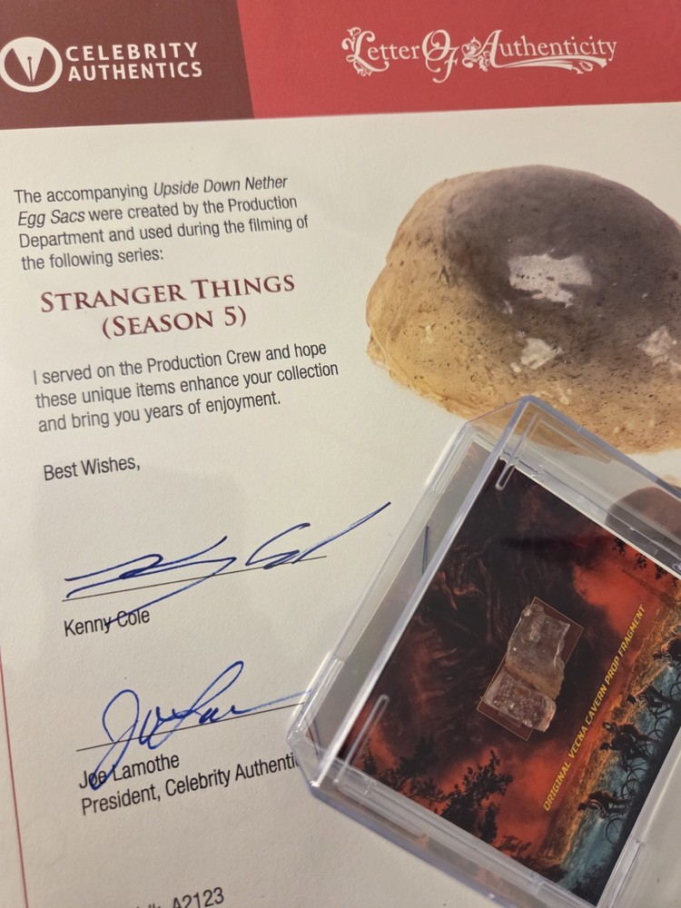 VECNA CAVERN - Stranger Things - FRAGMENT (SCREEN USED ) ORIGINAL PROP S5