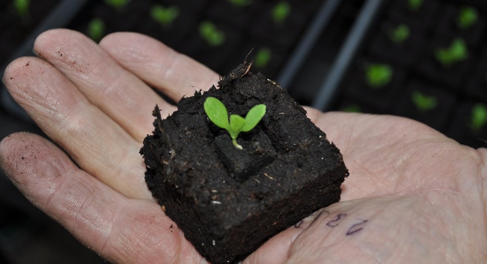 Ladbrooke Soil Block Maker - Micro 20. Authorized Reseller.