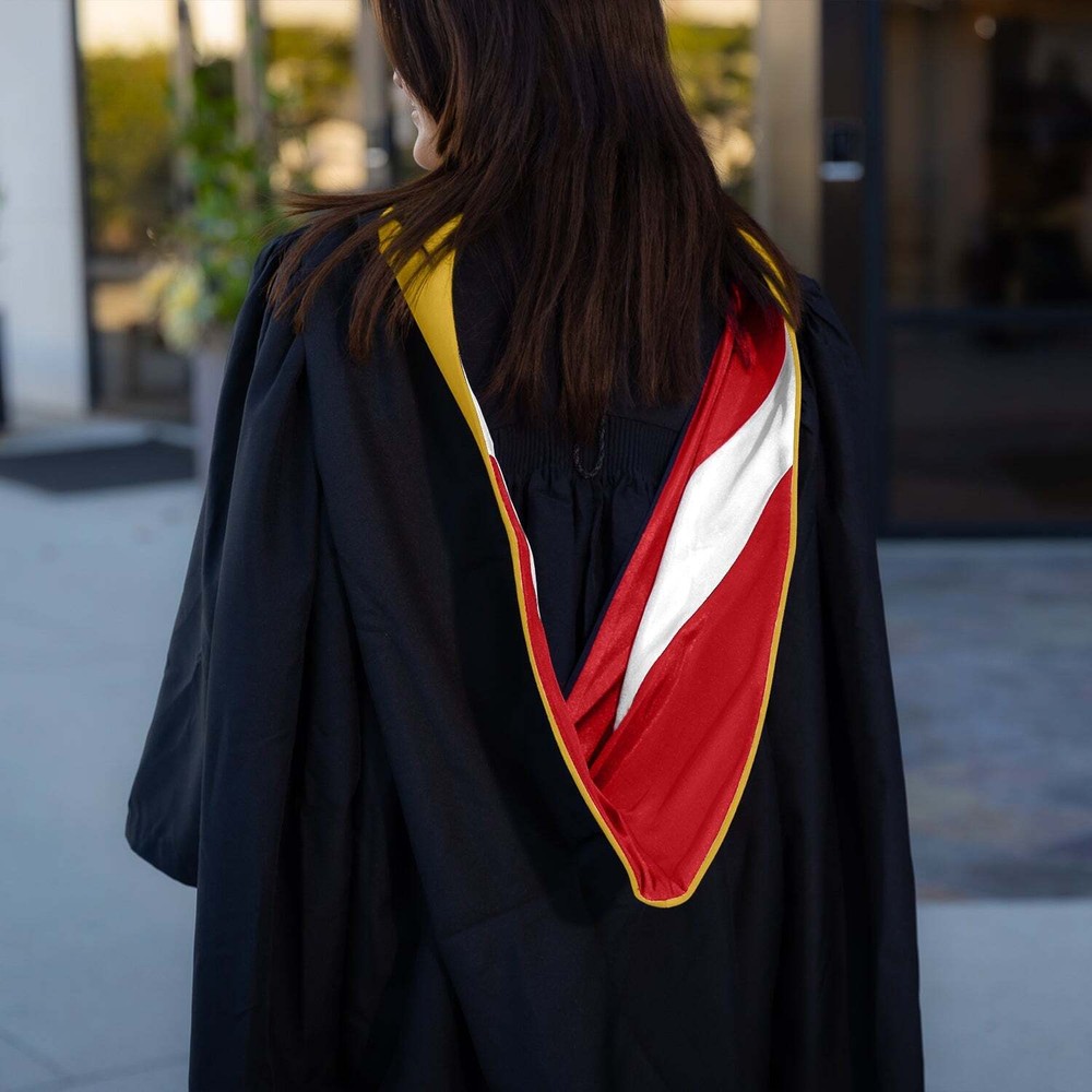 Endea Graduation Masters Hood For Science, Mathematics - Gold/Red/White