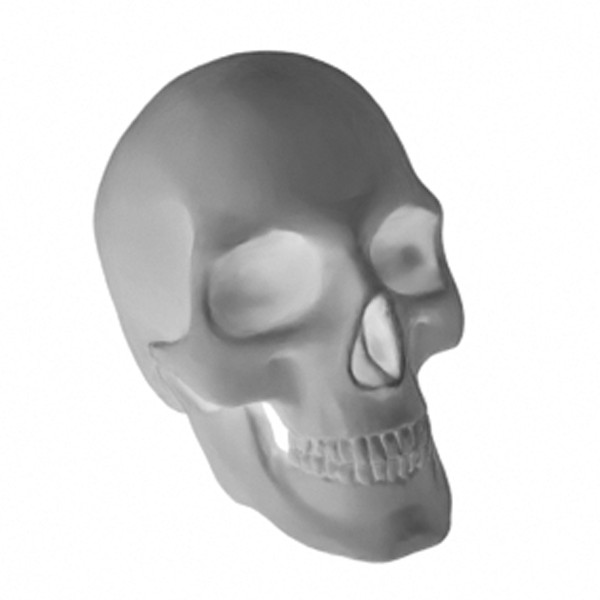 Skulls 1/24 - 1/25 Scale