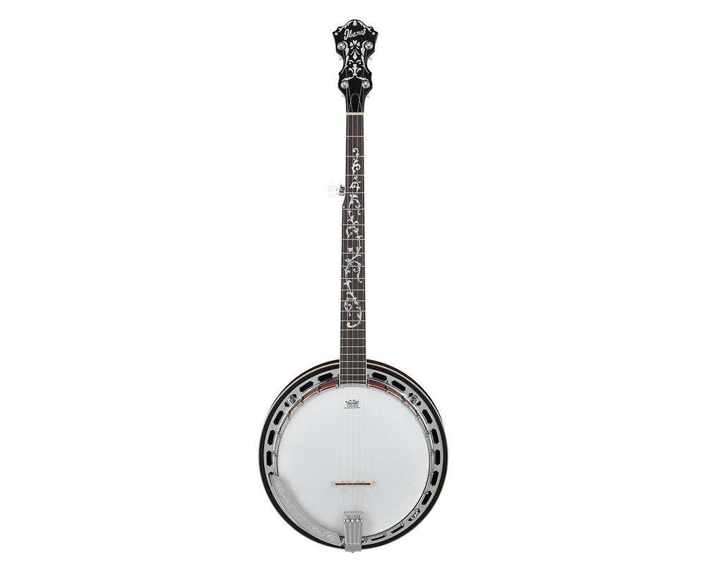 Ibanez B200 5-String Banjo