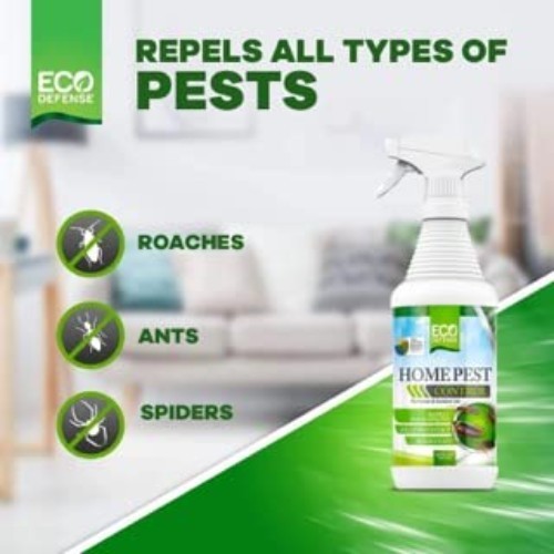 Safe Home Bug Control - Natural Ant, Roach, Spider Repellent