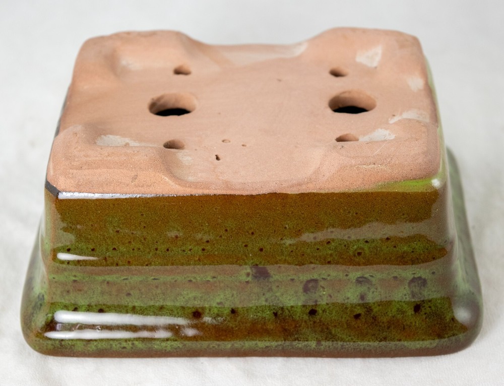 6" Rectangular Glazed Moss Green Cactus & Succulent, Bonsai Pot - Pot/Combo/Kit