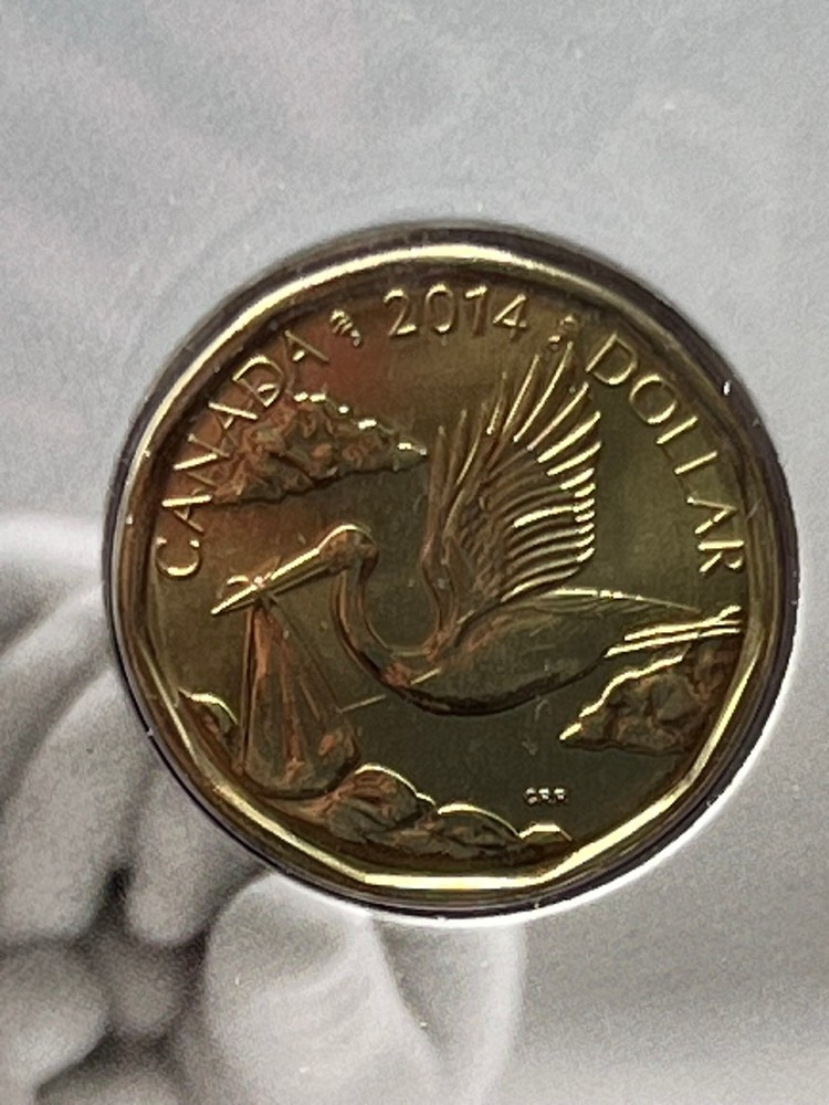 2014 Canada Born in 2014 5 coin set-Flying Stork