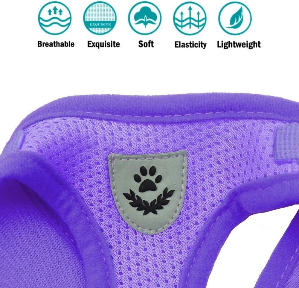 Dog Harness & Leash Set Walking Soft Mesh Adjustable Easy Control Lightweight