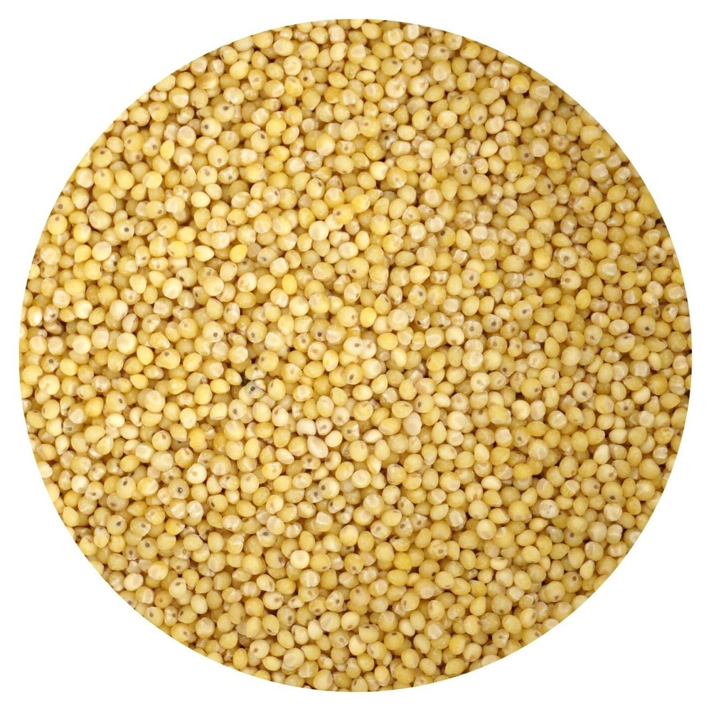 Organic Hulled Millet, 3 Pound Bulk Bag, Hampton Distribution