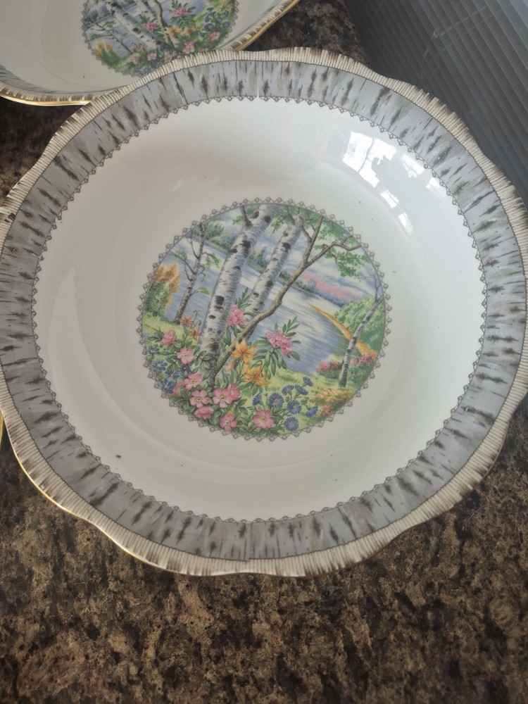 27 piece Dinner Set 4X Royal Albert Silver Birch premium Place Settings +serving