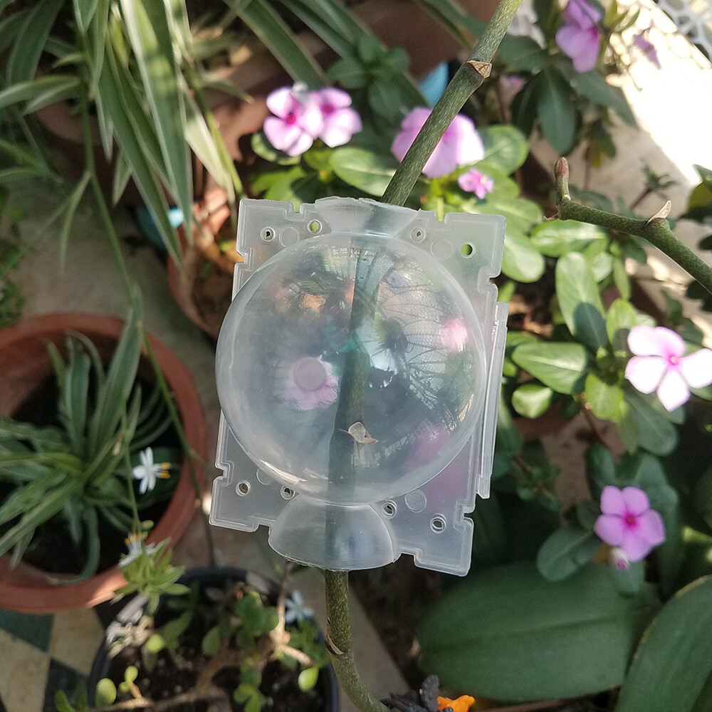 50Pcs Clear High Pressure Propagation Balls Plant Root Device Root Graft Boxes
