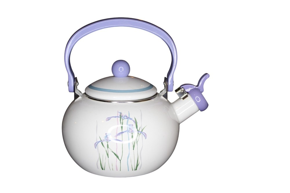 Whistling Tea Kettle Flat Bottom Kettle