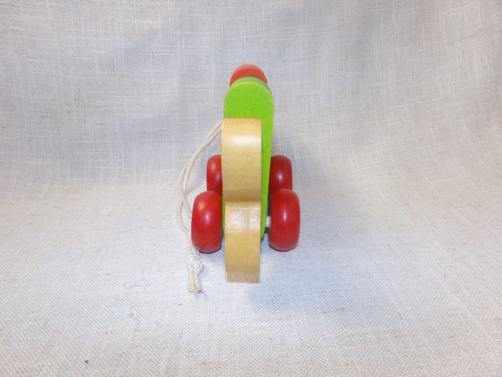 Wooden Pull Along Toy Colorful Rainbow Fish