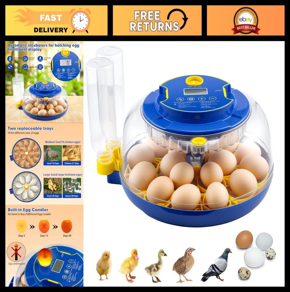Automatic 18 Egg Incubator with Turner, Temp & Humidity Control for Hatching Egg