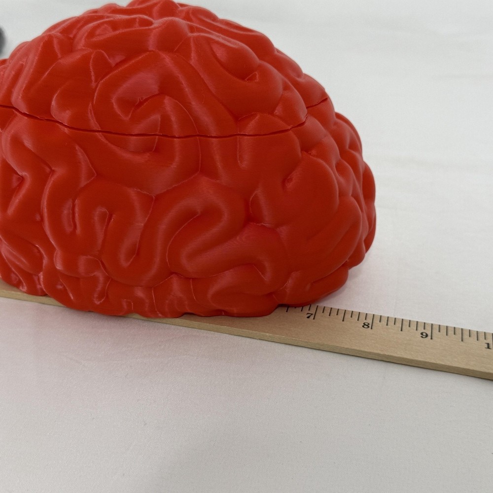 Brain Shaped Storage Box Red Plastic Container Jar Halloween Decor Gift