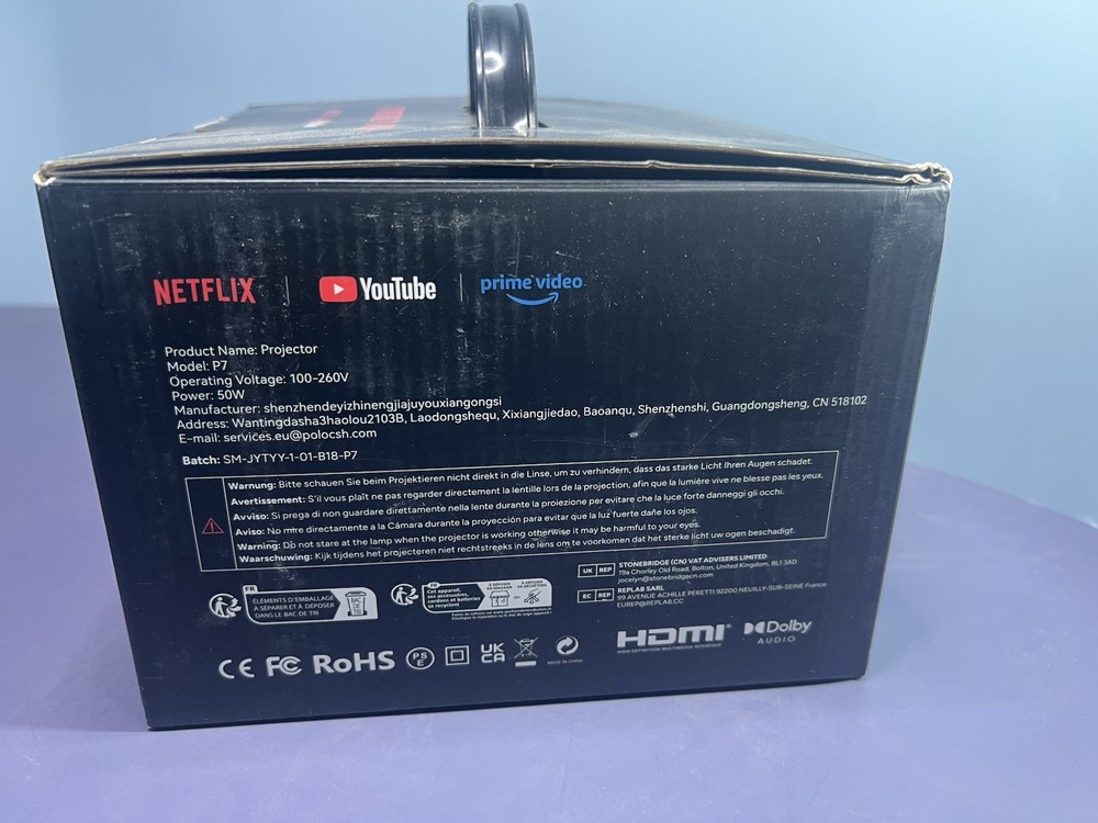 Polocsh Mini Smart Projector