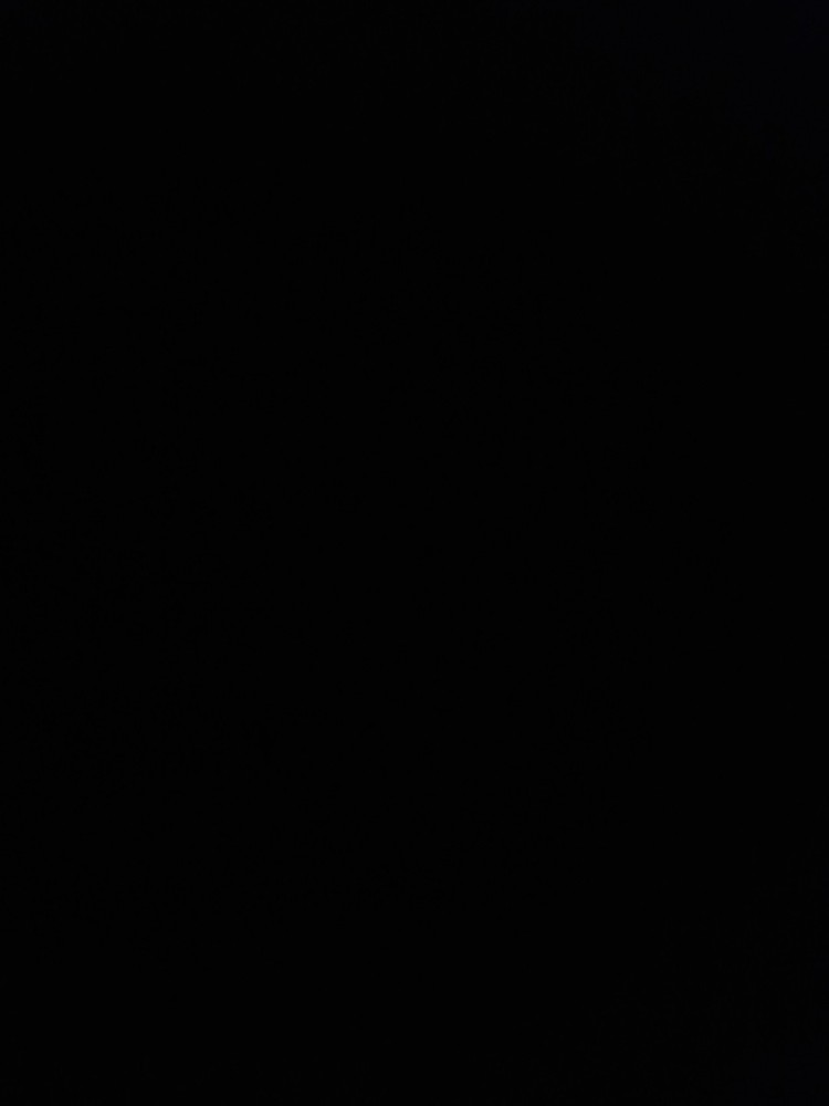 3M ACE Neoprene Adjustable Ankle Support (207248)