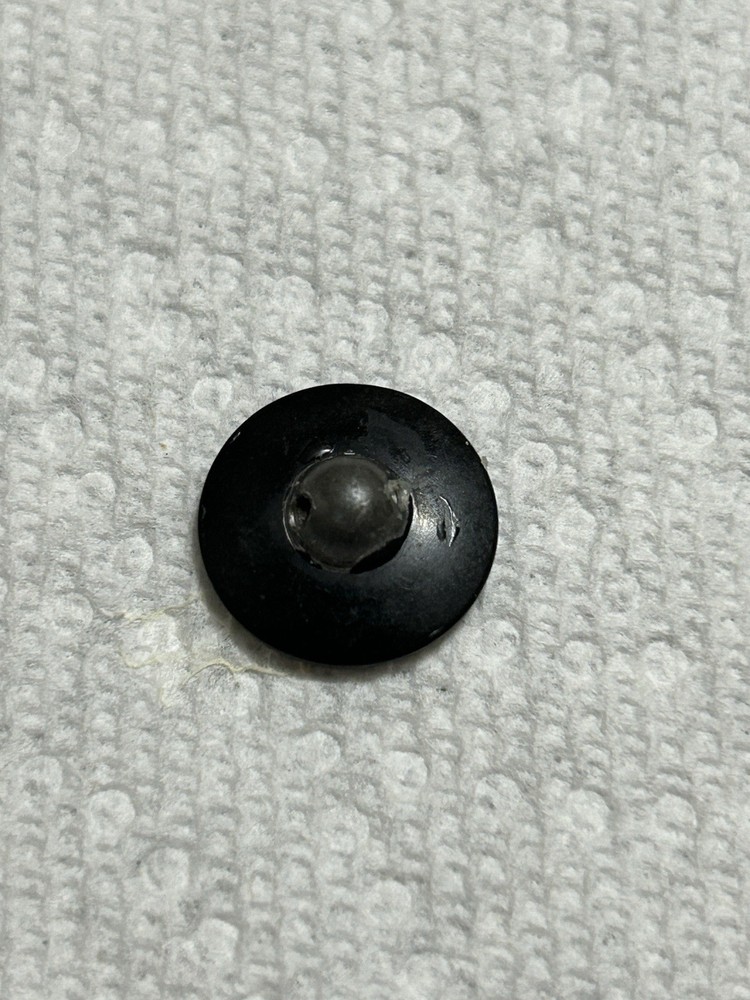 Bird on a Branch Horn Button With Silver Inlay