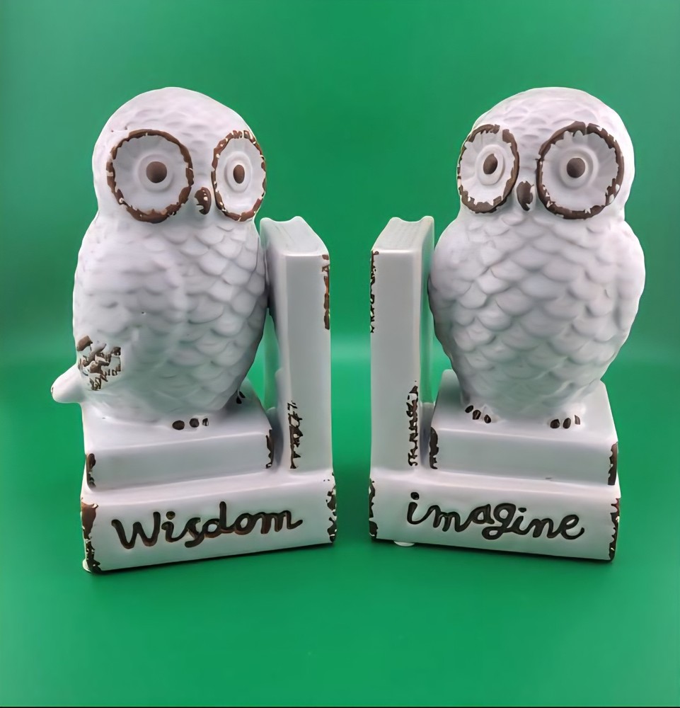 Cracker Barrel Ceramic Owl Bookends Wisdom And Imagine Harry Potter Inspired
