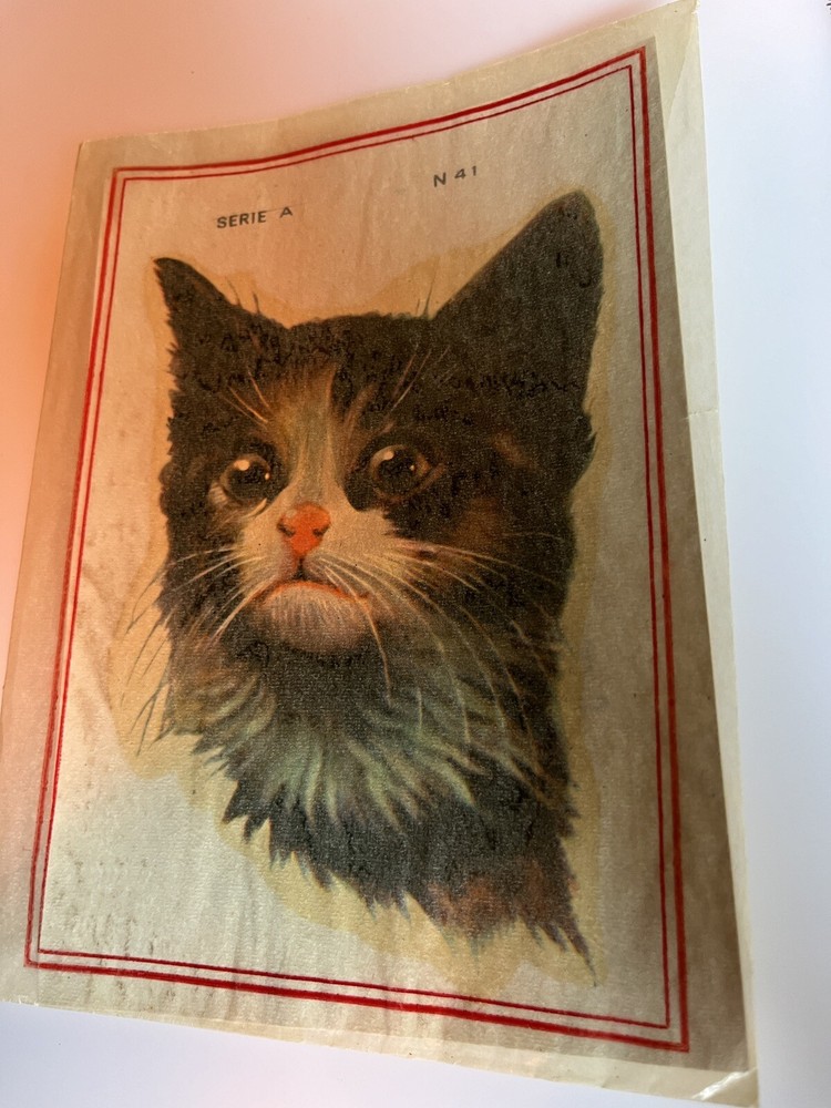 Vintage Water Slide Decals Cat