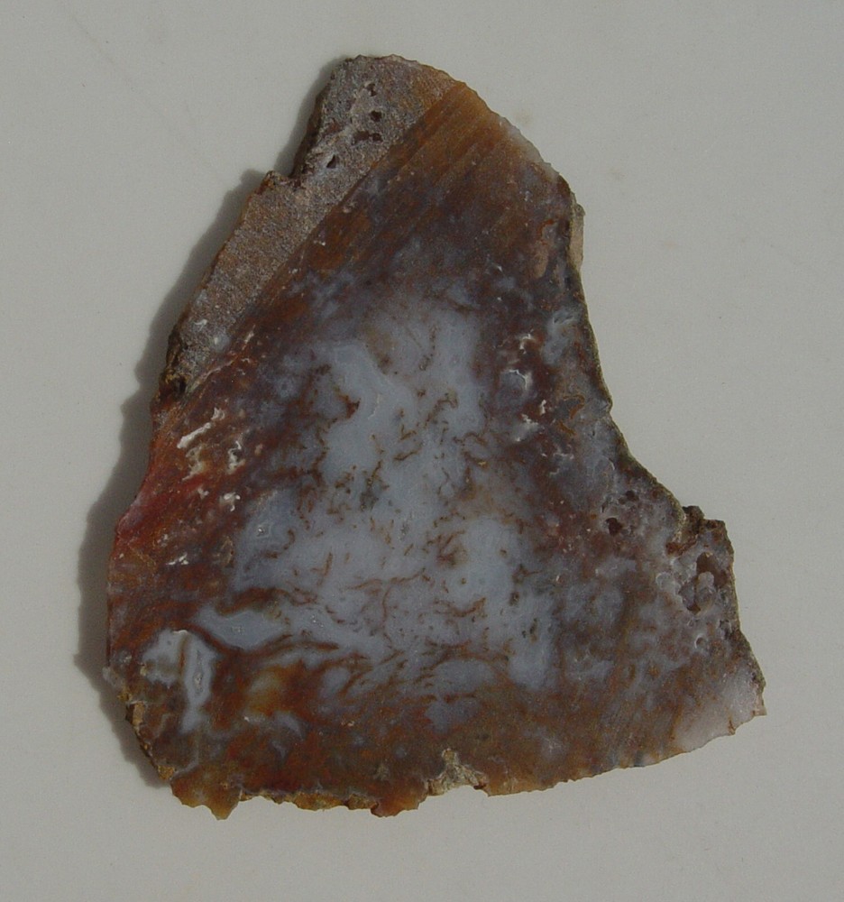 Gold Moss Agate Lapidary Slab 1486